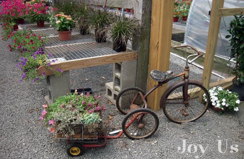 Makeshift and an unused bike as an improvised plot used at Shakespeare's garden.