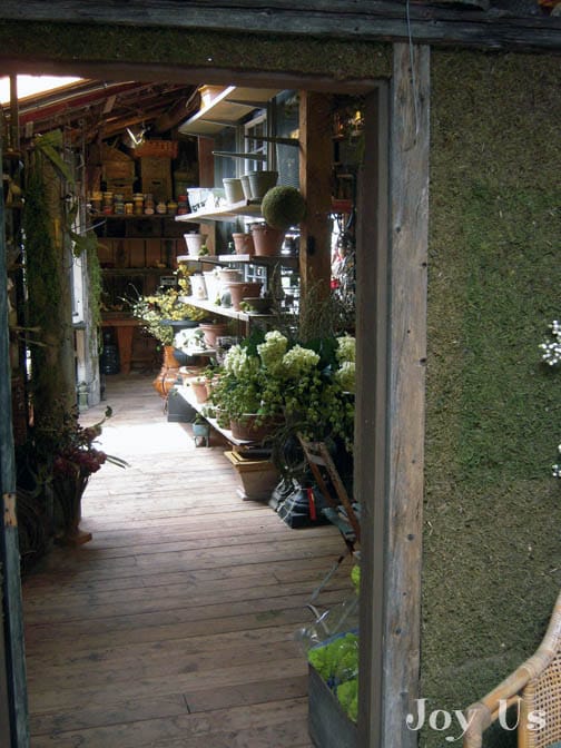 An outside view of Shakespeare's garden shop.