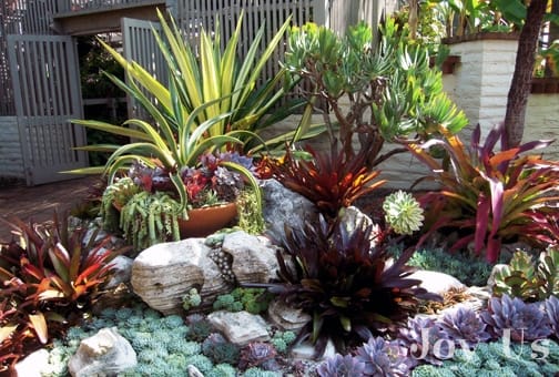 The Cactus and Succulent Garden at The Sherman Library and Gardens