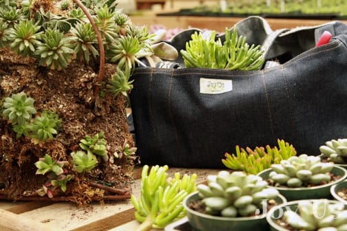 Denim LadyBug Bag