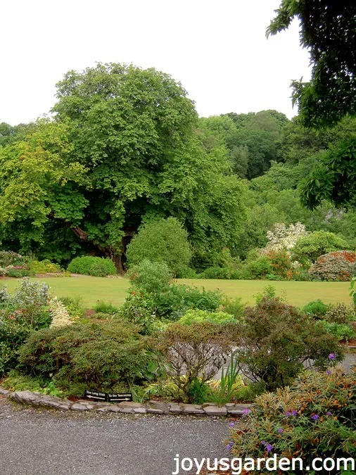 The Garden House, Devon, UK