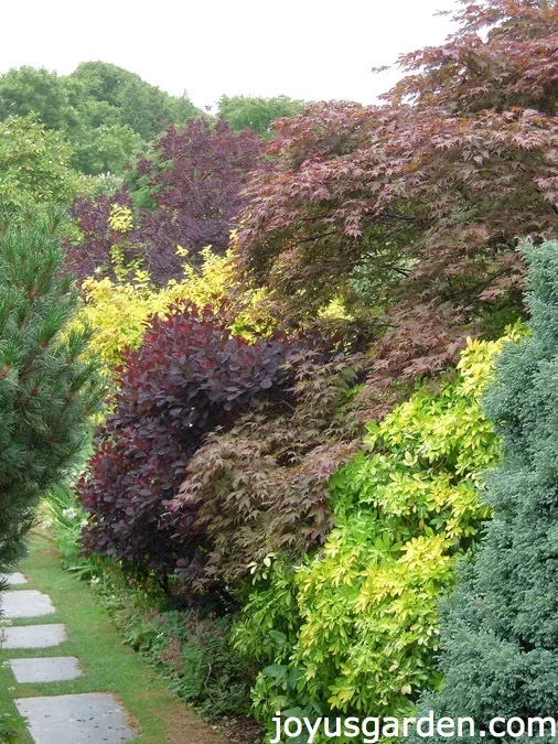 The Garden House, Devon, UK