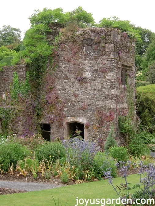 The Garden House, Devon, UK