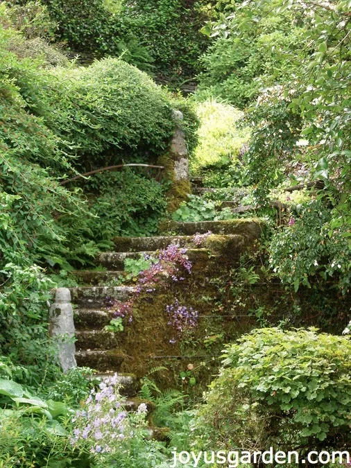 The Garden House, Devon, UK