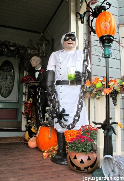 Halloween Decorating Extravaganza!