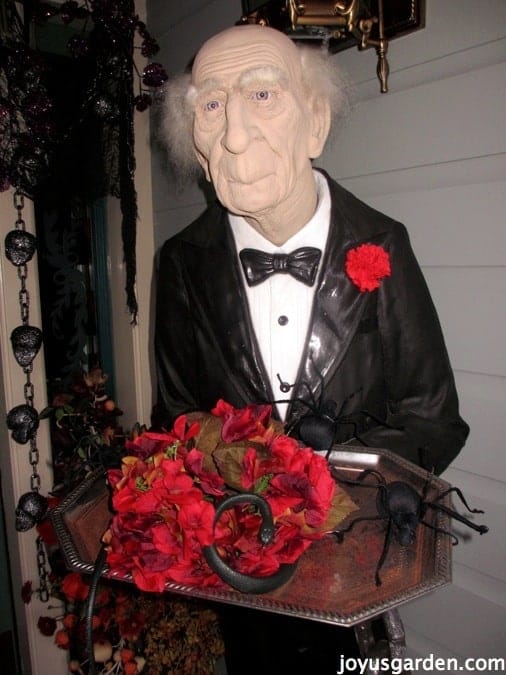 My Halloween Decorating Extravagenza Joy Us Garden