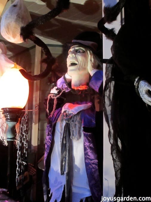 Halloween Decorating Extravaganza!