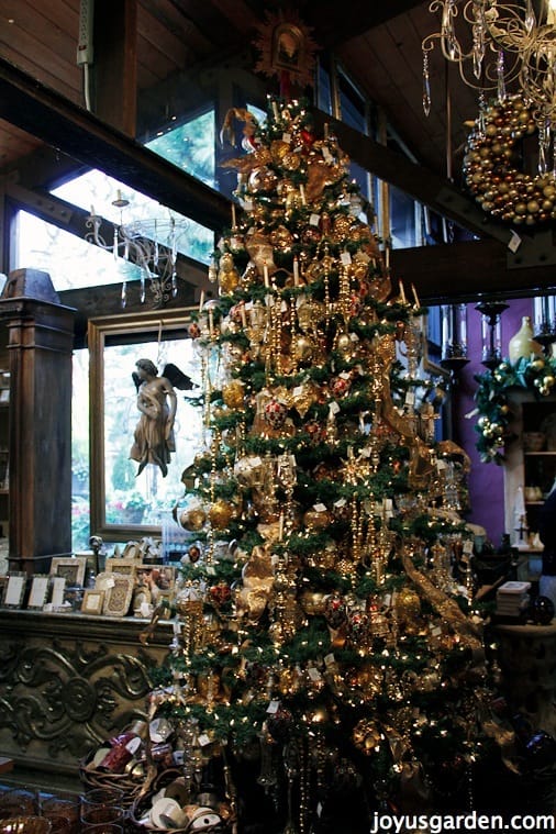Christmas At Roger's Gardens