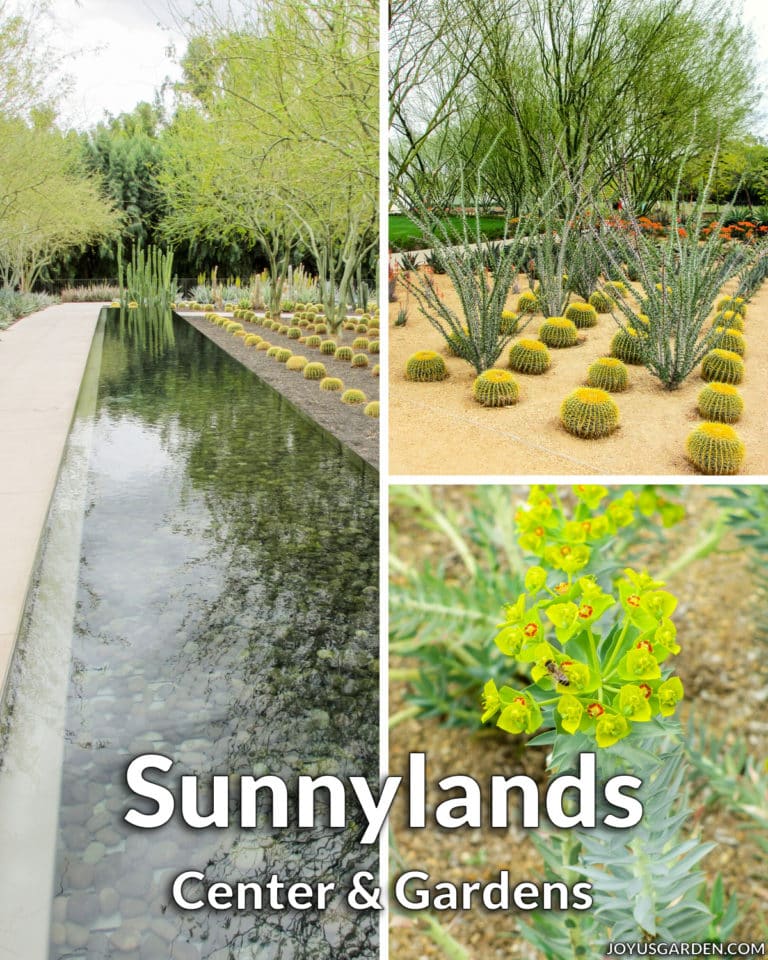 Sunnylands Center and Gardens in Palm Springs