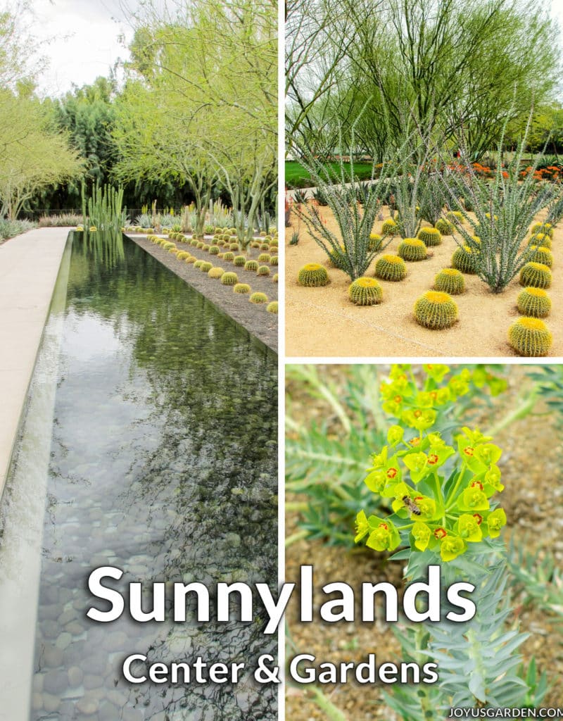 a collage of 3 photos of modern desert gardens & plants the text reads sunnylands center & gardens
