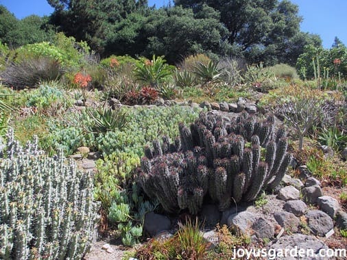 Gardens in Berkley