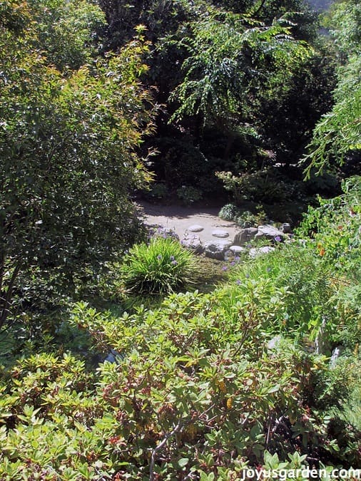 Japanese pool in the Berkeley Botanical Garden