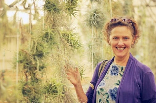 Nell with tillandsias