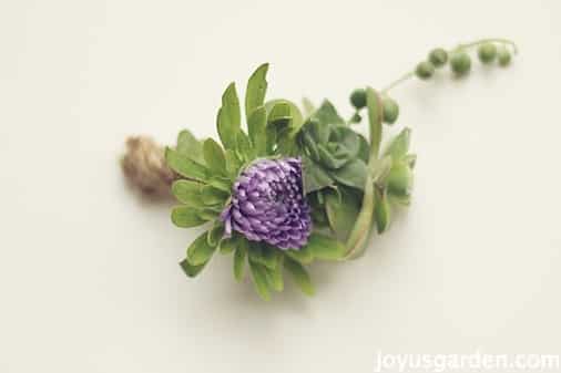 simple succulent boutonniere
