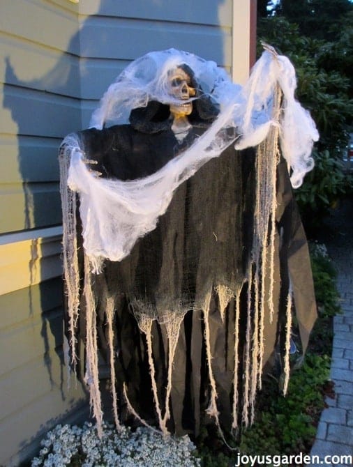 Spooky Outdoor Halloween Decorations Joy Us Garden