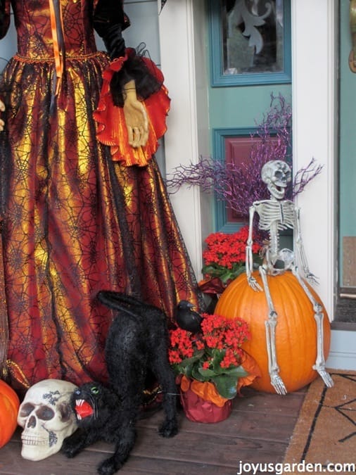 Spooky Outdoor Halloween Decorations Joy Us Garden