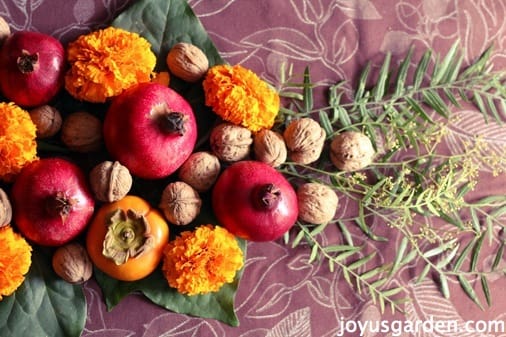 A Quick, Inexpensive  Thanksgiving Centerpiece Your Guests Will Love