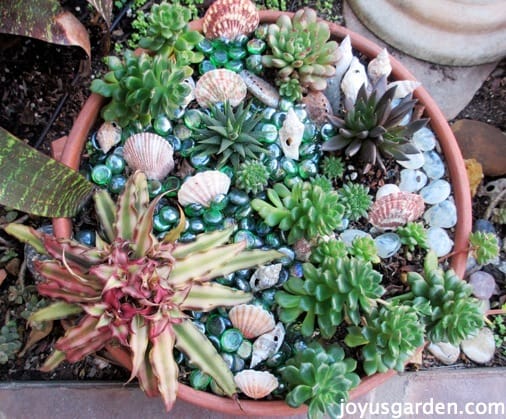 The Makeover Of My Succulent Bowl Makeover