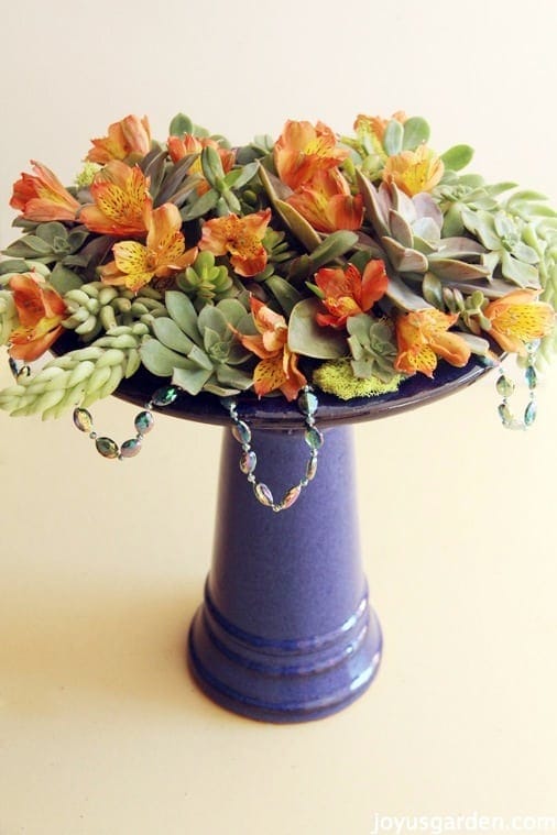 This Succulent Arrangement Is For The Birds