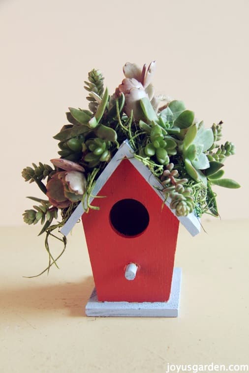 How To Create A Little Birdhouse Decorated With Succulents