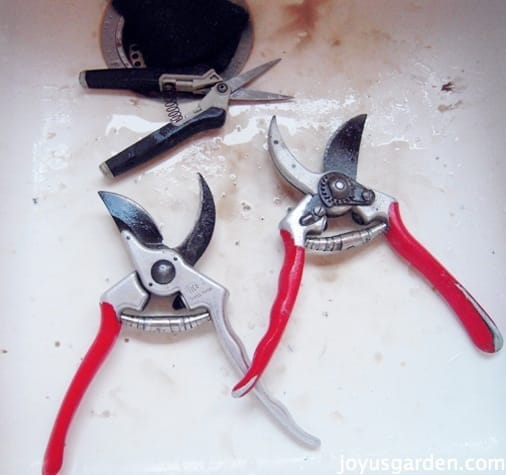 A Quick And Easy Way To Clean And Sharpen Your Pruners