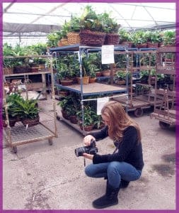 Lucy in a greenhouse