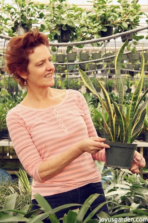 Photo of Nell in the greenhouse with a houseplant