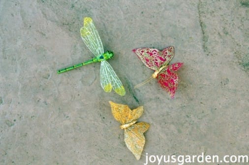Butterflies and dragonflies as accents
