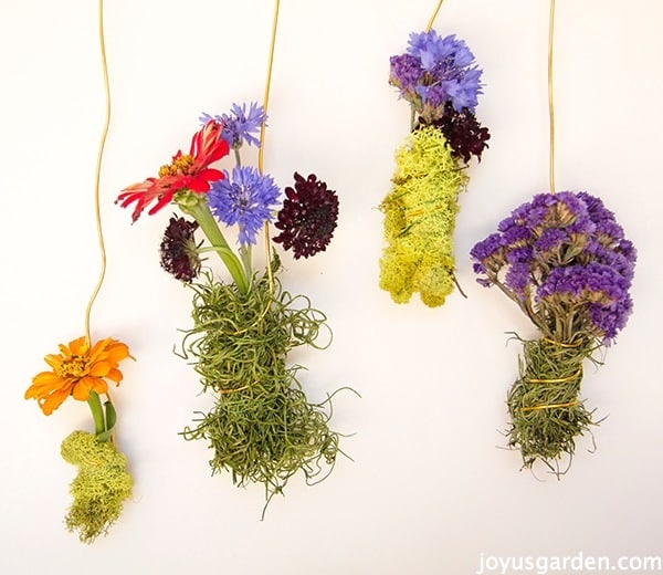 hang air plants, succulents & flowers