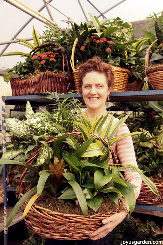 nell foster holds a very large plant arrangement in a basket with many houseplant arrangement baskets behind her