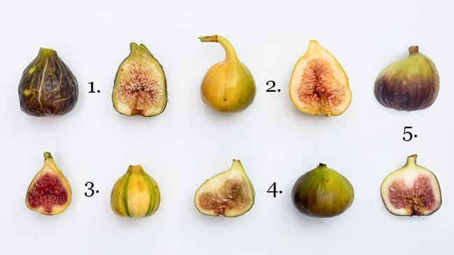 Five Figs Friday