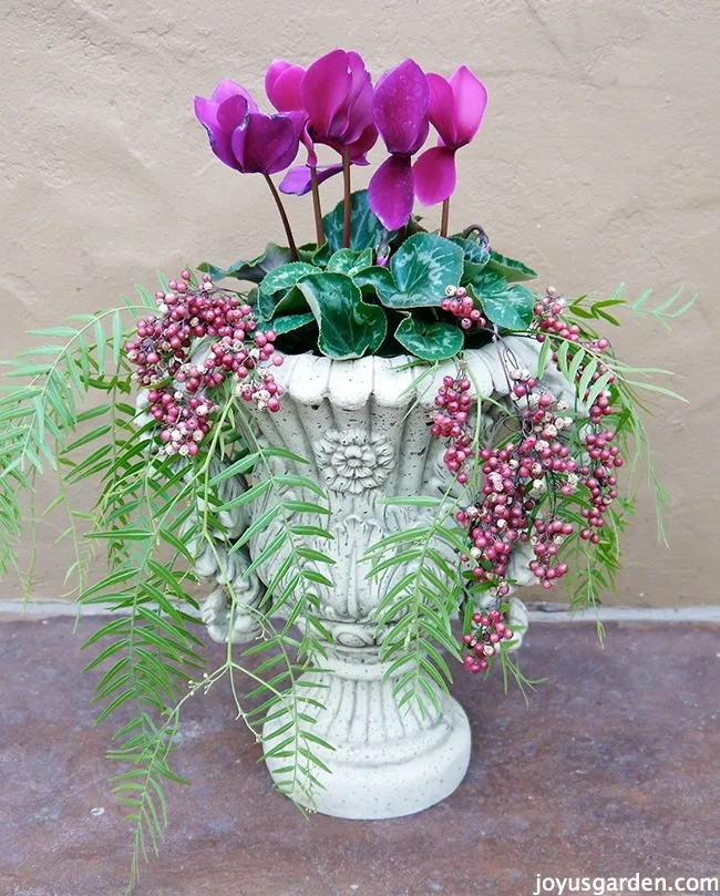 Orchids displayed in this urn