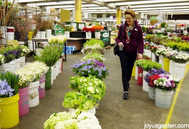 Nell shopping amidst cut flowers