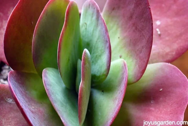 P1050897_new
