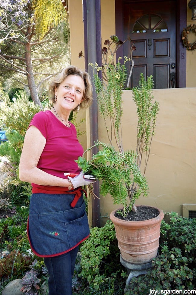 Nell Foster gardening