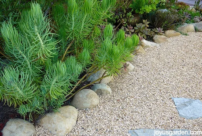 Maintaining A Gravel Landscape