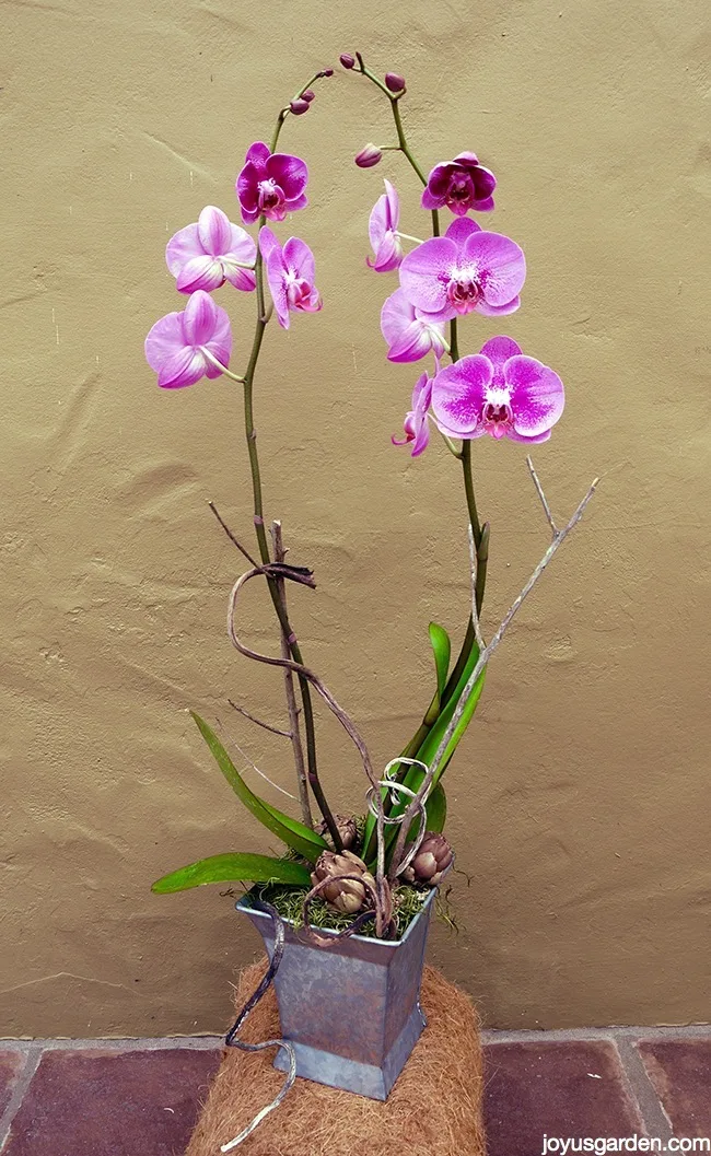 P1280187_new
