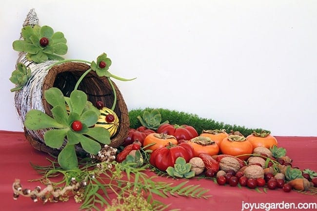 A Succulent Adorned Cornucopia With A Twist