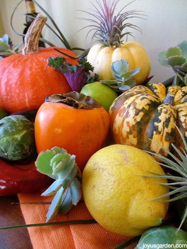 fall centerpiece with produce