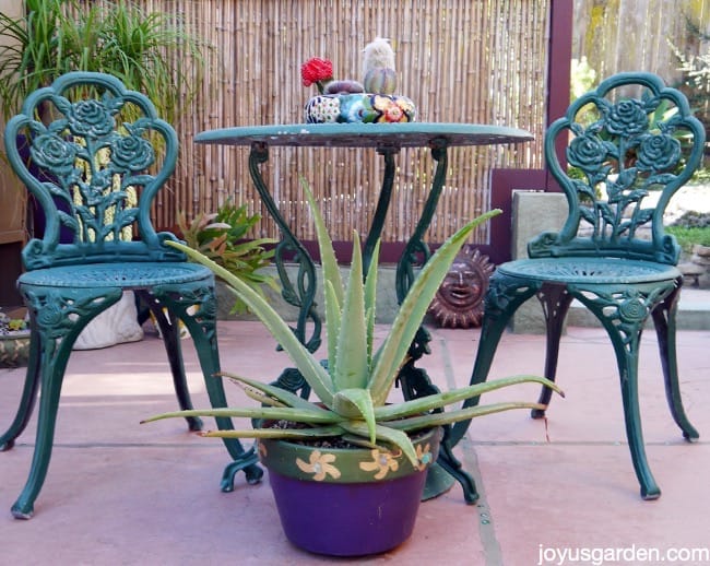 Patio area in the garden