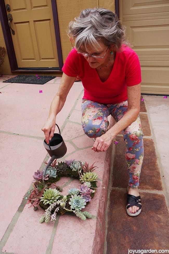 How to Keep Your Succulent Wreath Alive and Looking Good