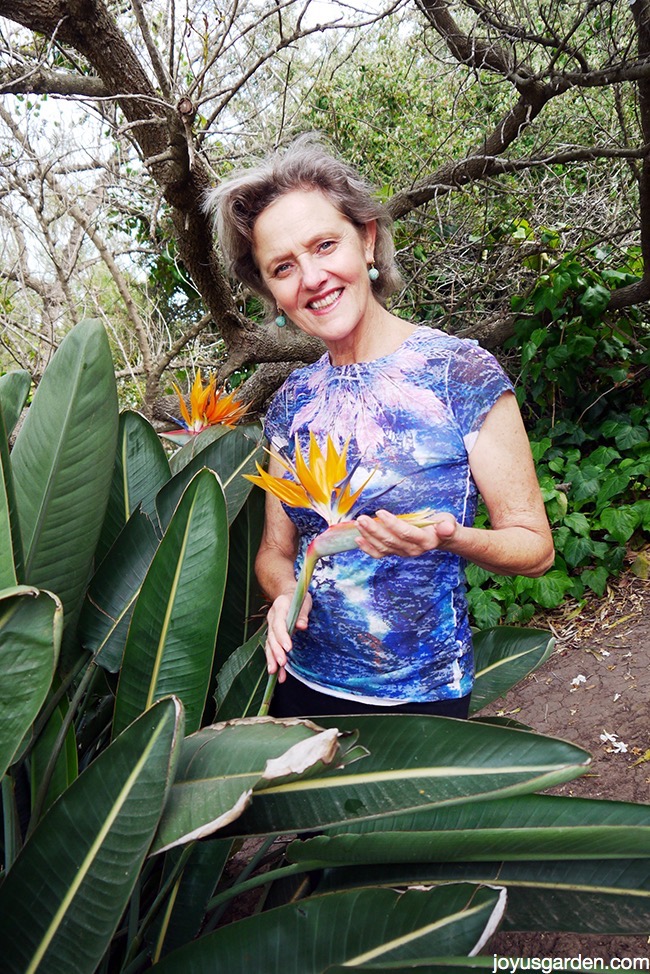 Nell Foster in multicolor shirt stand next to a bird of paradise plant with orange flowers in bloom.