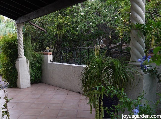 Patio in the desert garden