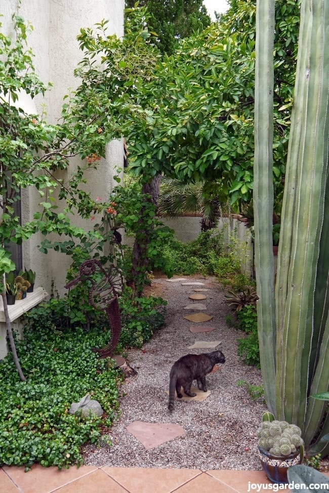 garden plans A look at the garden path