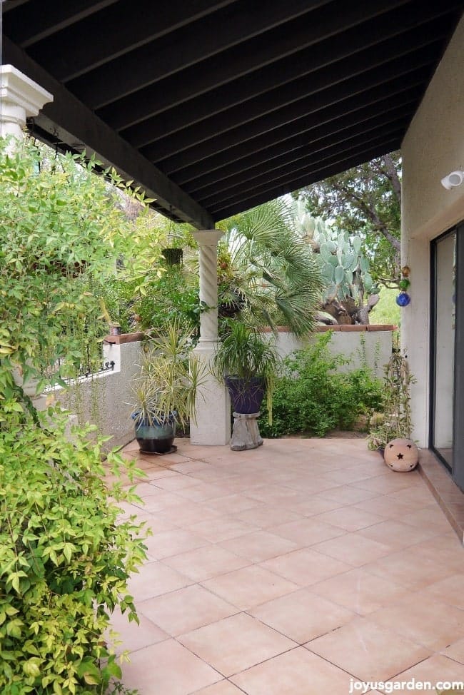 garden plans The side patio space