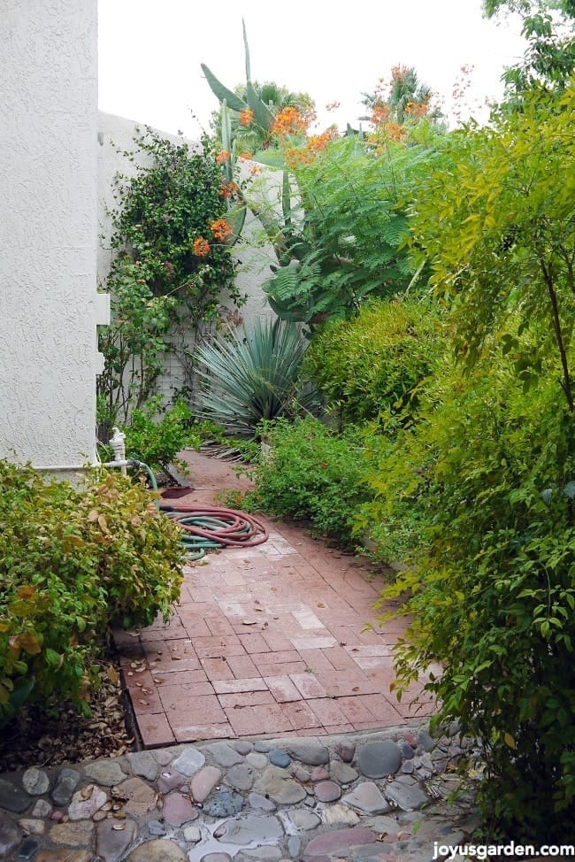 garden plans Still deciding what to do with this portion of the garden