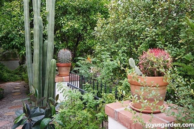 garden plans Gorgeous garden plans