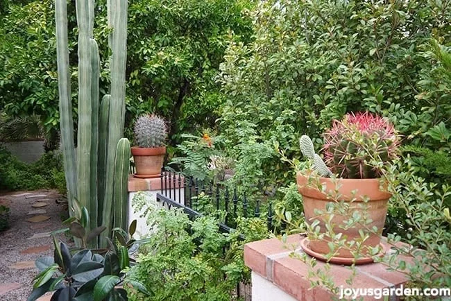 garden plans Gorgeous garden plans