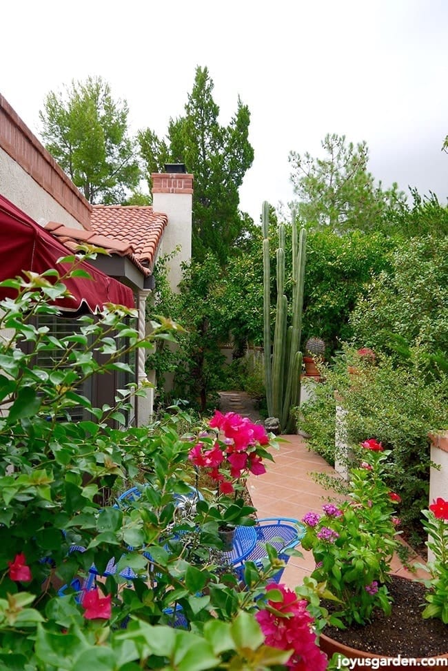 garden plans