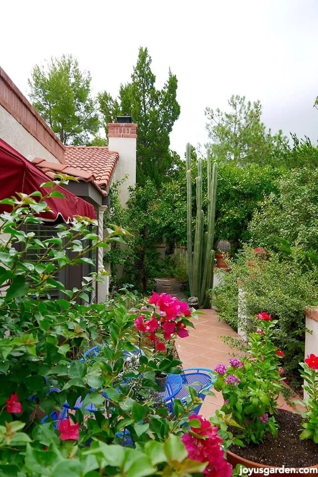 garden plans